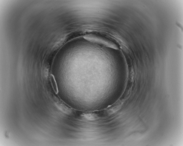 X0000099380417200805081450