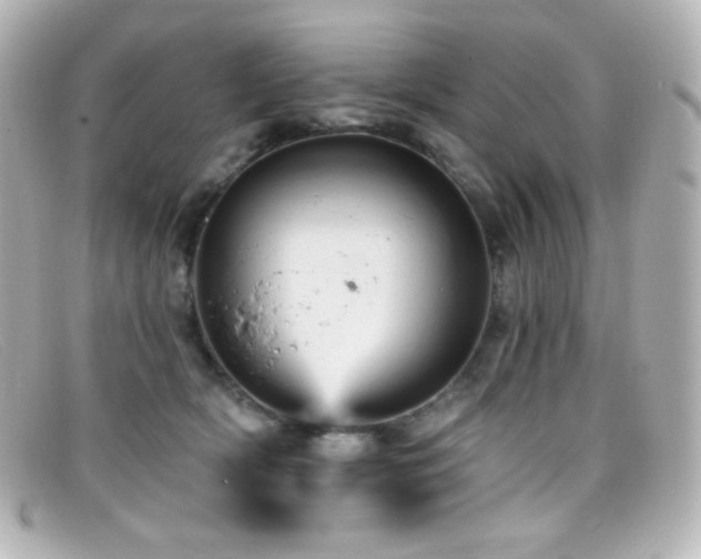 X0000099380418200805081450