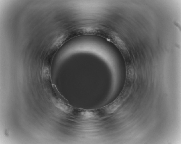 X0000099380419200805081450