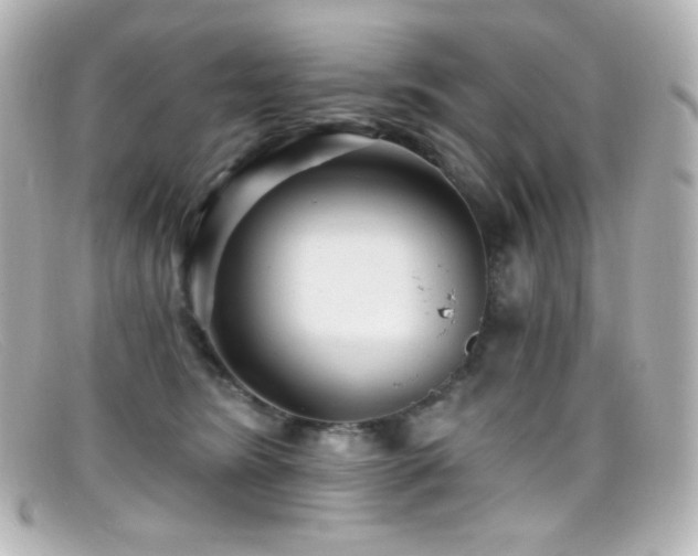 X0000099380420200805081450