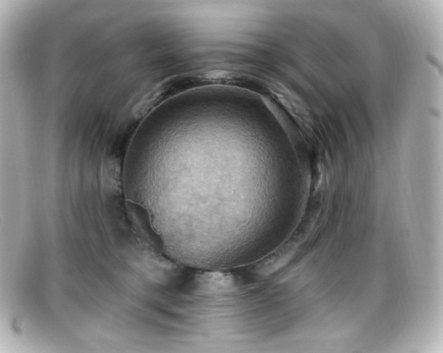 X0000099380421200805081450