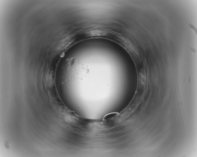 X0000099380422200805081450