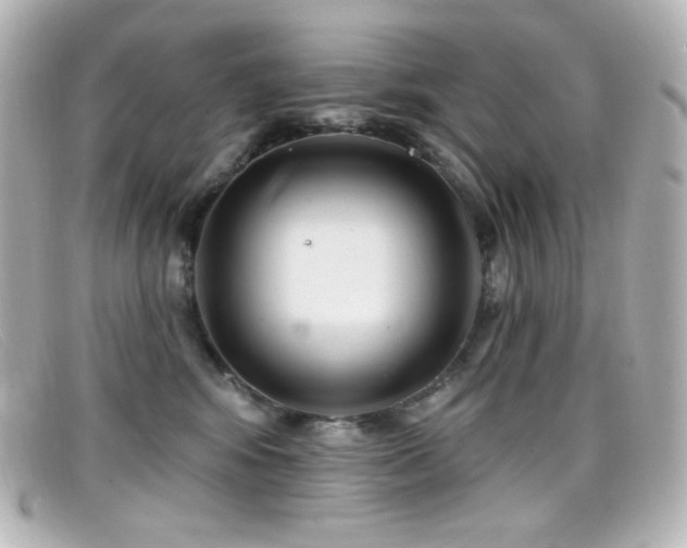 X0000099380424200805081450