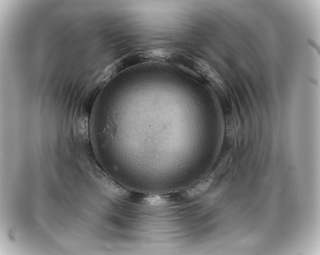 X0000099380425200805081450