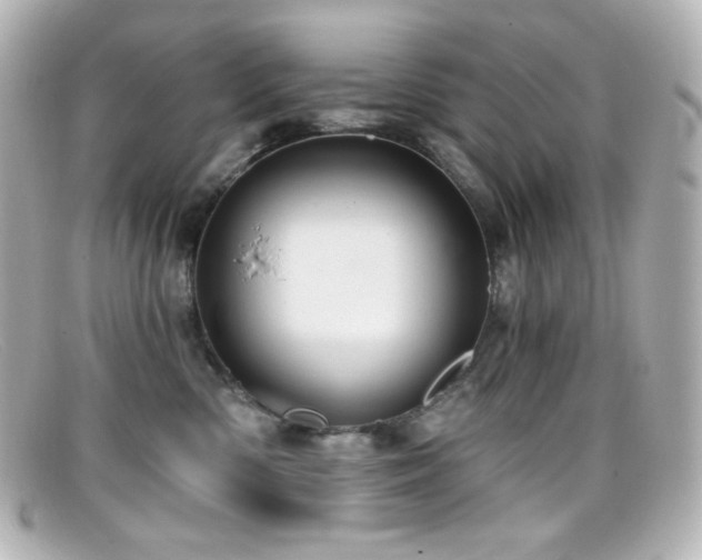 X0000099380426200805081450