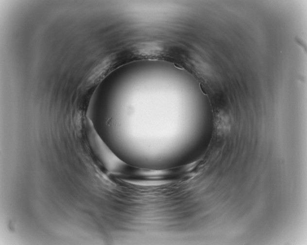 X0000099380428200805081450