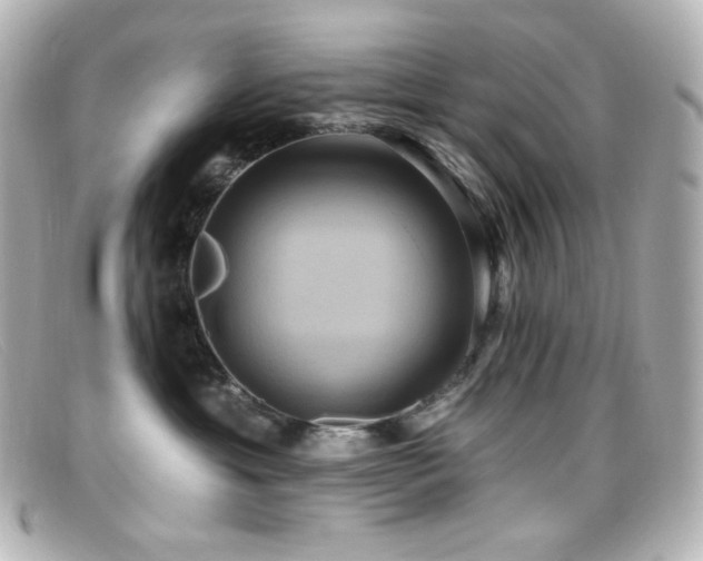 X0000099380429200805081450