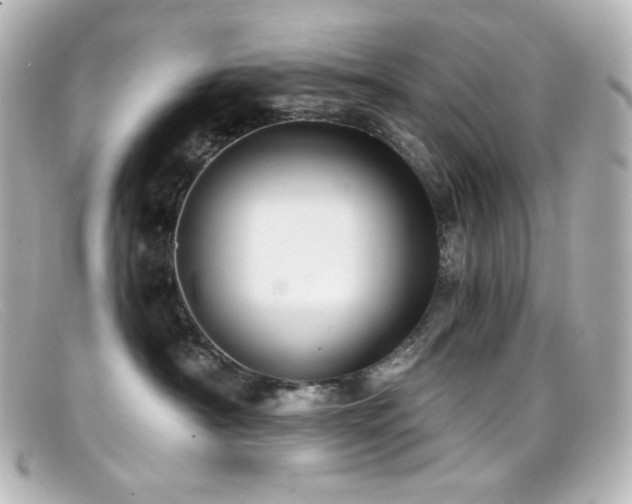 X0000099380430200805081450