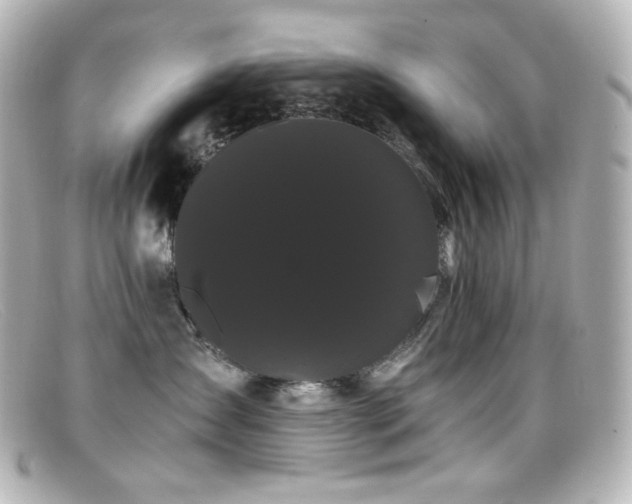 X0000099380431200805081450