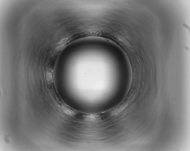 X0000099380432200805081450