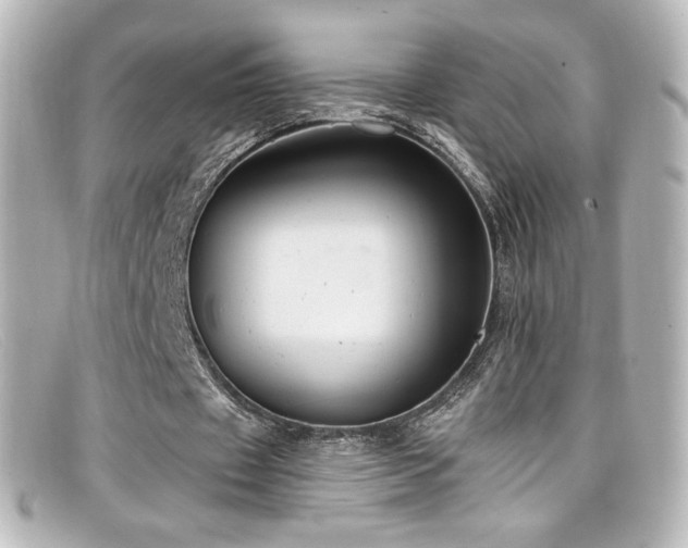 X0000099380433200805081449