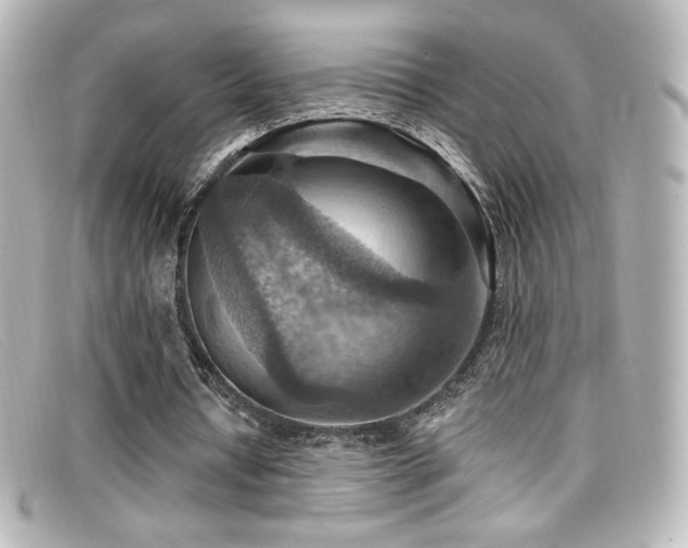 X0000099380434200805081449