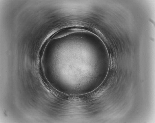 X0000099380435200805081449