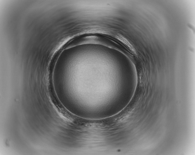 X0000099380436200805081449