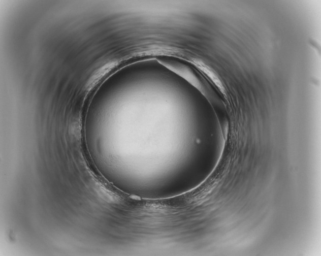 X0000099380437200805081449