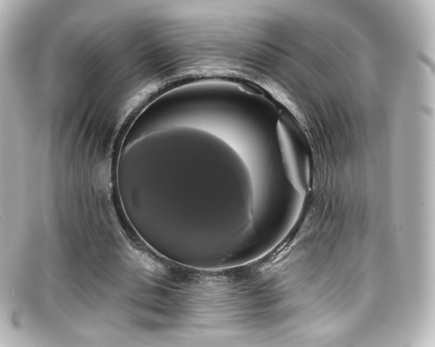 X0000099380438200805081449