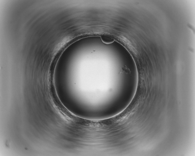 X0000099380439200805081449