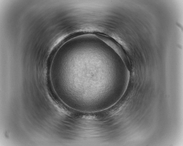 X0000099380440200805081449