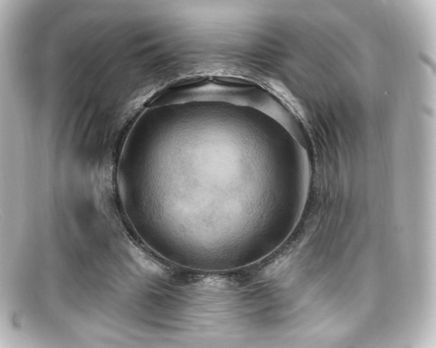 X0000099380441200805081449