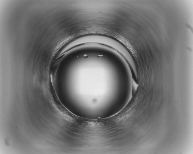 X0000099380442200805081449