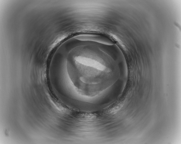 X0000099380443200805081449