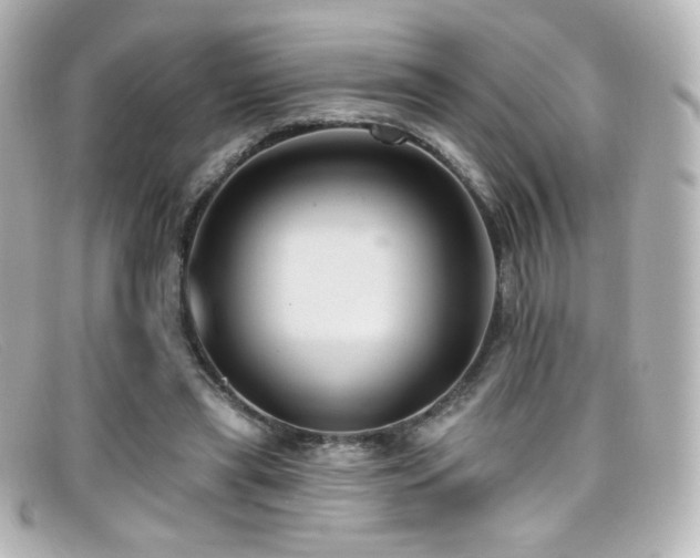 X0000099380445200805081449