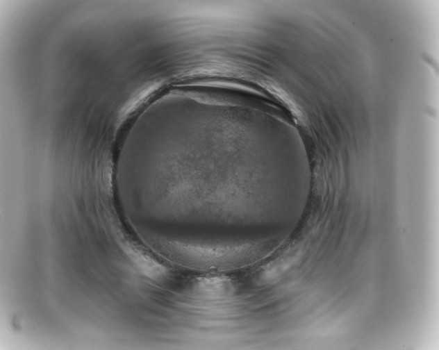 X0000099380446200805081449