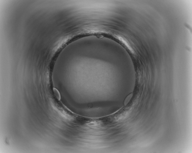 X0000099380447200805081449