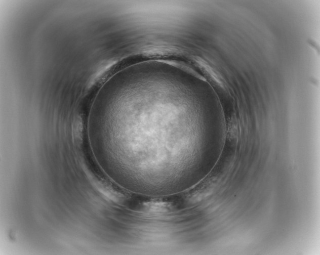 X0000099380448200805081449