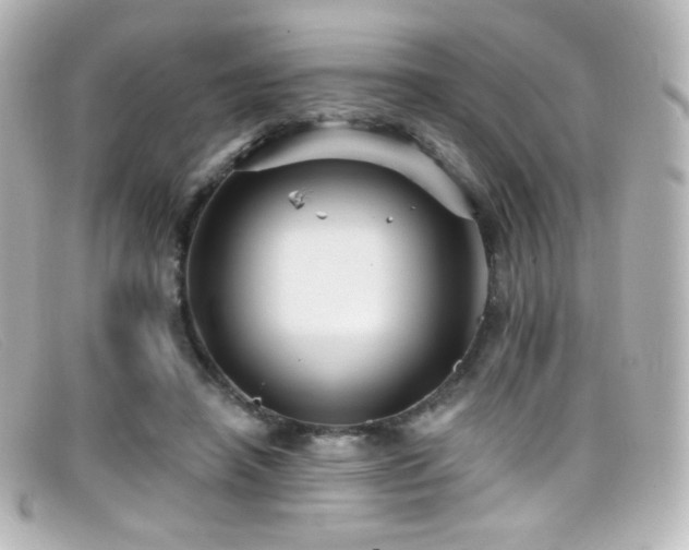 X0000099380450200805081449