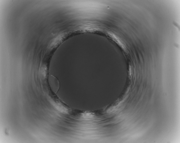 X0000099380451200805081449