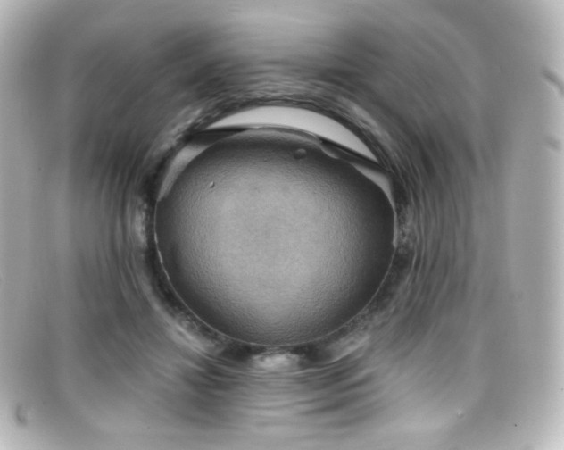 X0000099380452200805081449