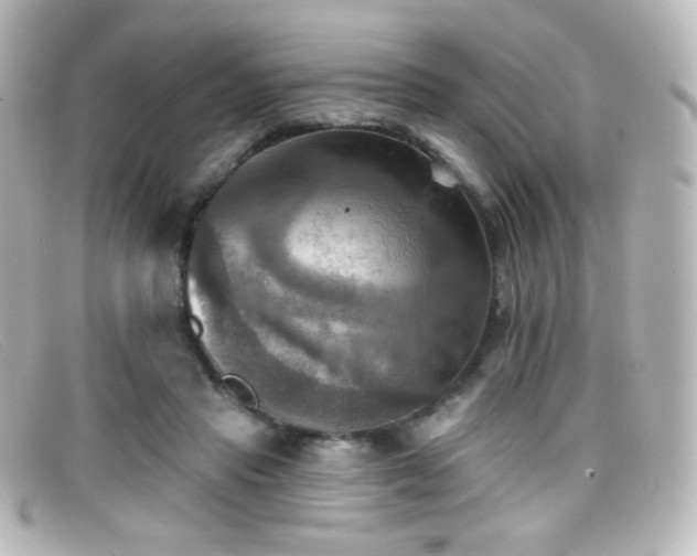 X0000099380453200805081449