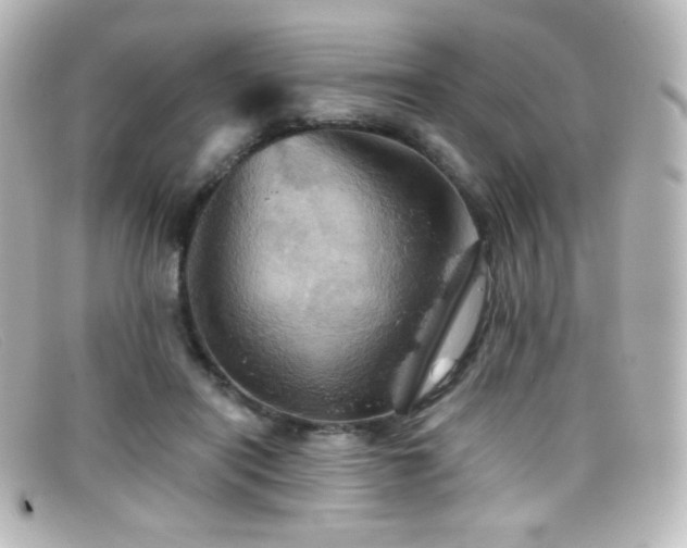 X0000099380454200805081449