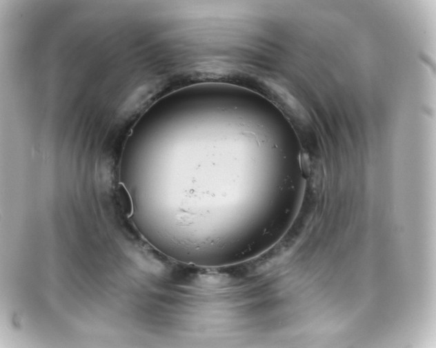 X0000099380455200805081449