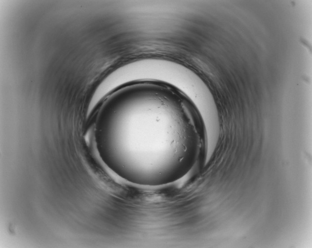 X0000099380456200805081450