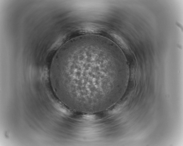 X0000099380457200805081450