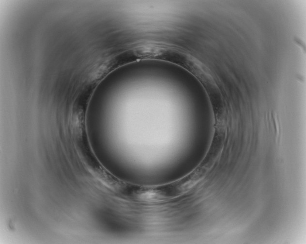 X0000099380460200805081450