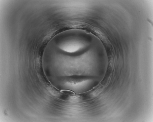 X0000099380461200805081450