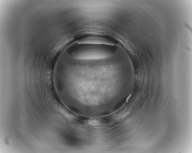 X0000099380462200805081450