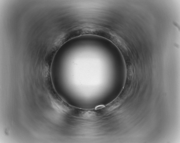 X0000099380463200805081450