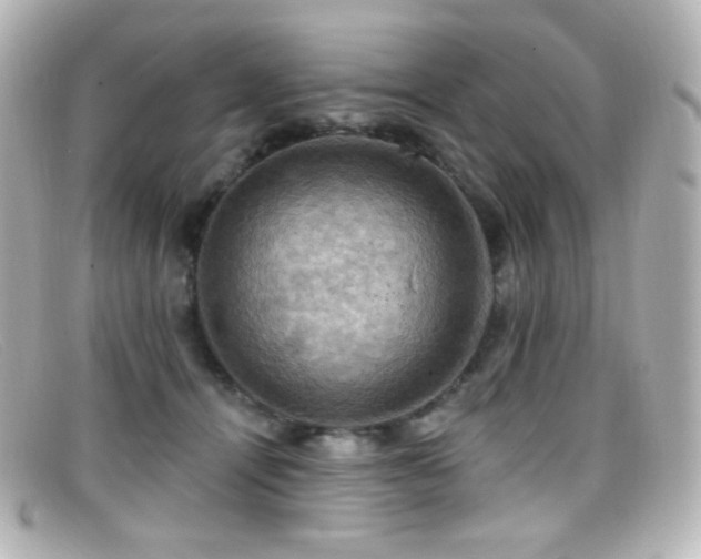 X0000099380464200805081450