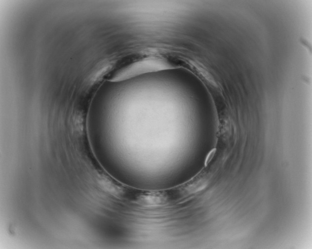 X0000099380466200805081450