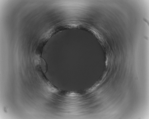 X0000099380467200805081450