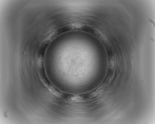 X0000099380468200805081450