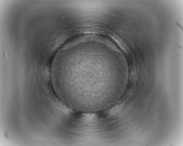 X0000099380469200805081450