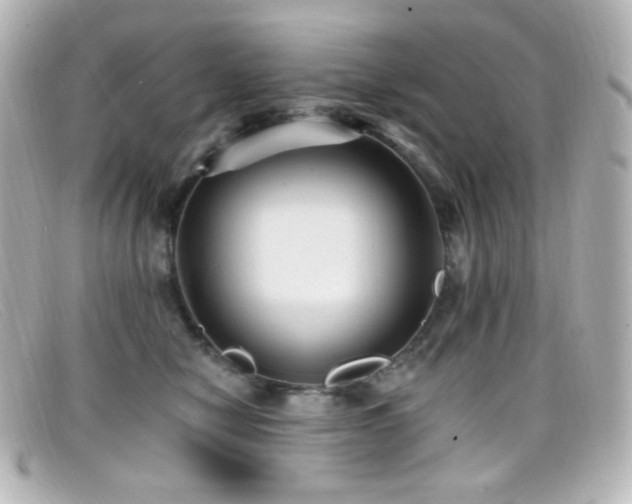 X0000099380470200805081450