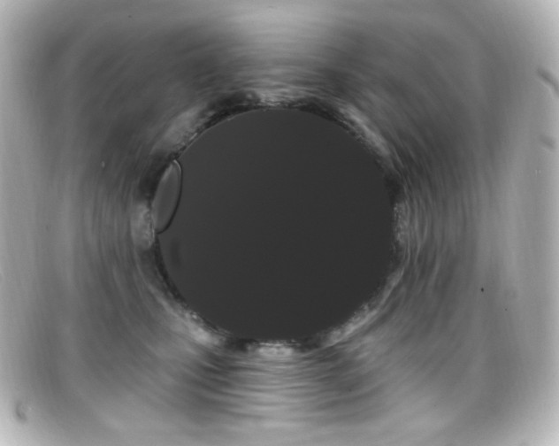 X0000099380471200805081450