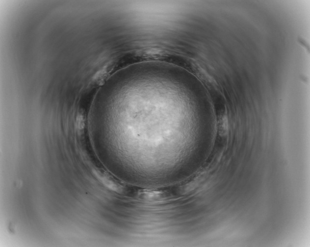 X0000099380472200805081450