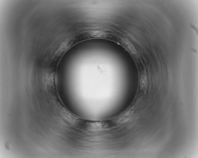 X0000099380473200805081450